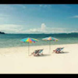 Meet your Posher, Wanda